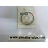 Segment origine standard YAMAHA  RD 250 1976