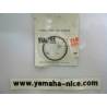Segment origine standard YAMAHA  RD 250 1976