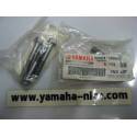 Boulon collerette (vendu par 2) YAMAHA FZS6 de 1998 et 1999 / TW 125 2002 à 2004