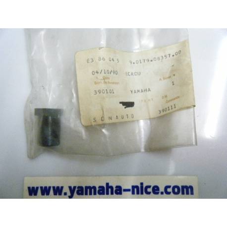 Ecrou de fixation de pot echapement YAMAHA TZR 75 de 1986