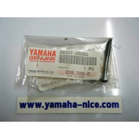 Vis origine (par 2) YAMAHA PW 80 de 1995 à 2003