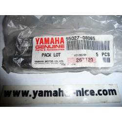 Boulon / vis origine (par 4) YAMAHA YZ 125 / 250 de 1995 à 2005