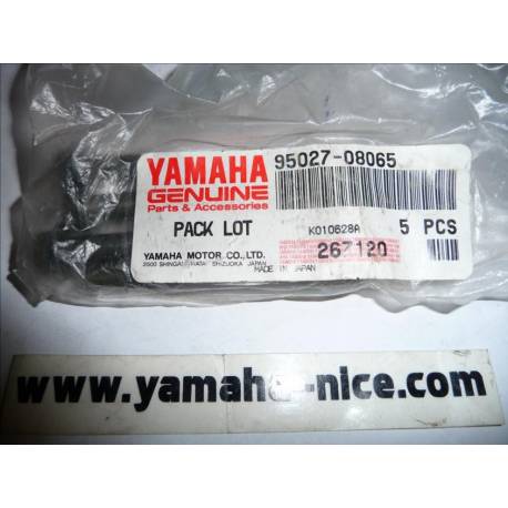 Boulon / vis origine (par 4) YAMAHA YZ 125 / 250 de 1995 à 2005