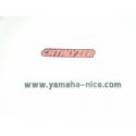 Embleme autocollant "catalyzer" cache latérale origine YAMAHA TDR 125 1995 à 1997