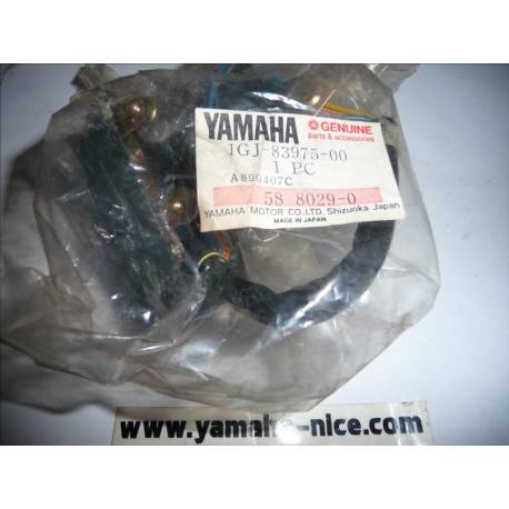 Commutateur / comodo droit YAMAHA  BELUGA CH 50 de 1988 à 1990