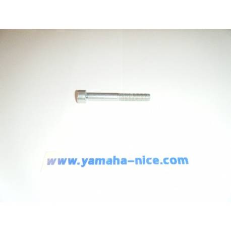 Boulon pour embout de poignée origine YAMAHA MT 03 de 2006 à 2011