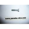 Boulon de fixation de repose pied origine YAMAHA TY 125 de 1989