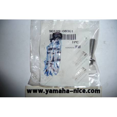 Boulon de support de repose pied origine YAMAHA VMAX 1700 de 2009 à 2012 / TDM 850 de 1996 à 2001