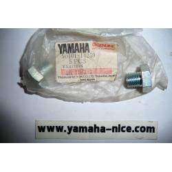 Boulon de boitier de filtre a air origine YAMAHA XT 500 de 1978 et AG 100 de 1996 et 1999