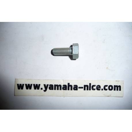 Écrou de pignon de sortie de boite origine YAMAHA TZ 250 de 1979 / TZ 350 de 1979 et TY 125 de 1989