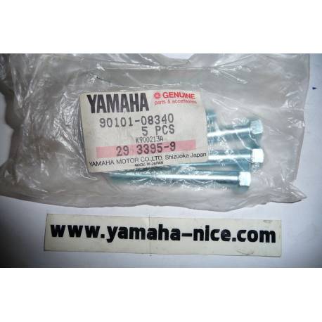 Boulon de fourche avant origine YAMAHA XV 750 VIRAGO de 1992 à 1994 / XV 1100 VIRAGO de 1994