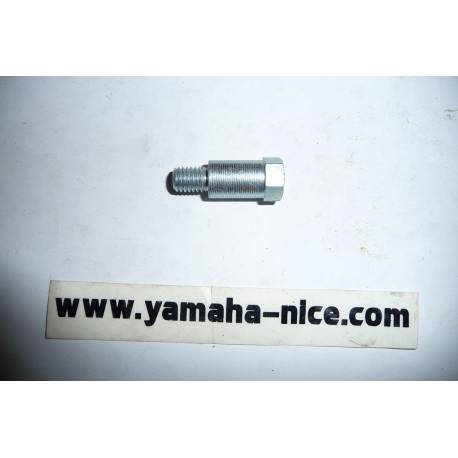 Boulon de levier de starter origine YAMAHA TZ 250 de 1987 à 2003