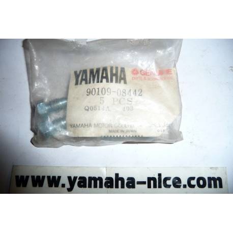 Boulon de ( carter ) tendeur de chaîne origine YAMAHA XS 1100 de 1980 / XJ 650 de 1980