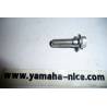Boulon d'étrier de frein avant origine YAMAHA IT 200 de 1986 / TT 250 de 1989 et 1990