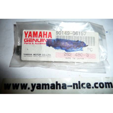 Vis de couvercle de pompe a huile origine YAMAHA PW 80 de 1986 et de 1991 à 2011