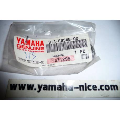 Boulon de support levier origine YAMAHA RD 350 LC de 1985 à 1988 / RD 125 LC de 1986 