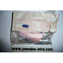 Boulon de cache latéral origine YAMAHA XS1 de 1970/1971 / XS2 de 1972 et TX 650 de 1973
