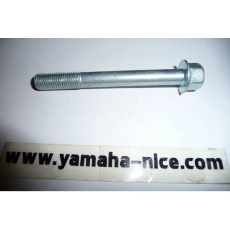 Boulon d'axe moteur origine YAMAHA DT 125C de 1976