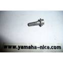 Boulon de fourche avant origine YAMAHA 