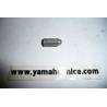 Écrou borgne YAMAHA pour XV 535 VIRAGO / FZX 750 / XT 600 and MANY MODELS