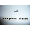 Boulon bride de radiateur origine YAMAHA DT 125 LC de 1986 et 1987, FZR 500 de 1989