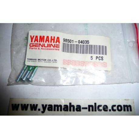 Vis de feu de position origine YAMAHA pour XV 250 VIRAGO de 1989 à 1994