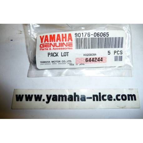 Ecrou borgne a niveau du porte paquet pour YAMAHA YW125 2010-2011 DT50 1988-1995  