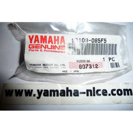 Vis de repose pied arrière origine YAMAHA WR 250 de 2008 à 2012 / XT 250 de 2008 à 2010