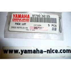 Vis de boite d'admission origine YAMAHA pour TDM 850 de 1991 à 1994