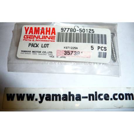 Vis de boite d'admission origine YAMAHA pour TDM 850 de 1991 à 1994