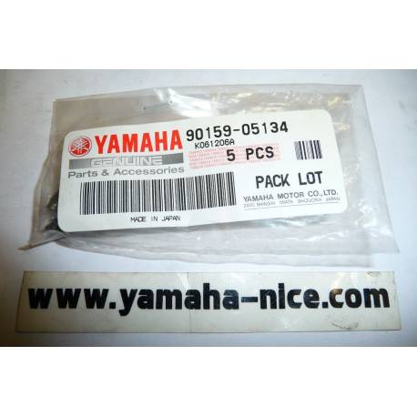 Vis de sacoche latérale origine YAMAHA pour XVZ 1200 de 1988 /  XVZ 1300 de 1989 à 1991