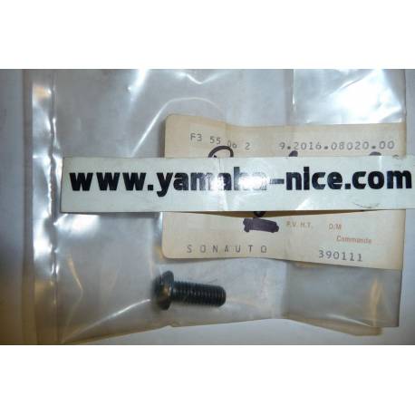 Vis de maître cylindre origine YAMAHA pour FZ 750 de 1987 à 1991 / YZ 250 de 1988