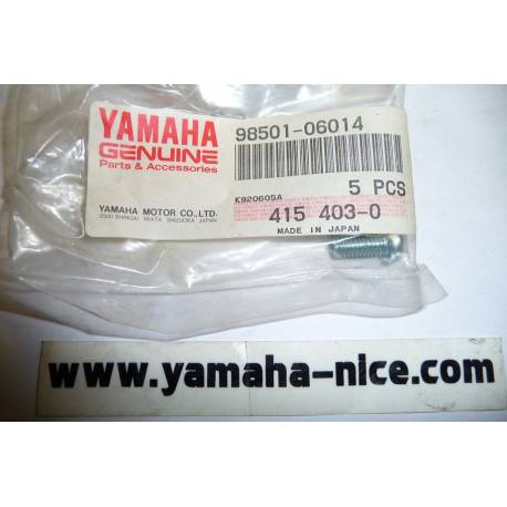 Vis de carburateur origine YAMAHA pour TZR 125 de 1990 / XJ 600 de 1986
