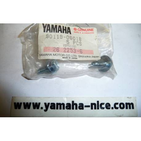 Boulon au niveau de la fourche pour YAMAHA  TT-R125 2000-2012 DT175 1999