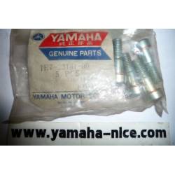 Boulon de fourche origine YAMAHA pour XS 500 de 1976 / XS 750 DE 1979 / XS 250 de 1979