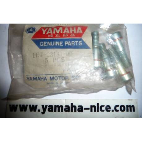 Boulon de fourche origine YAMAHA pour XS 500 de 1976 / XS 750 DE 1979 / XS 250 de 1979
