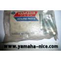 Boulon de fourche origine YAMAHA pour XS 500 de 1976 / XS 750 de 1979 / XS 250 de 1979