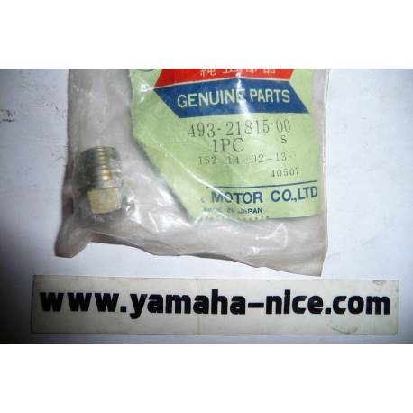 Boulon de bras oscillant origine YAMAHA pour TY 250 de 1977