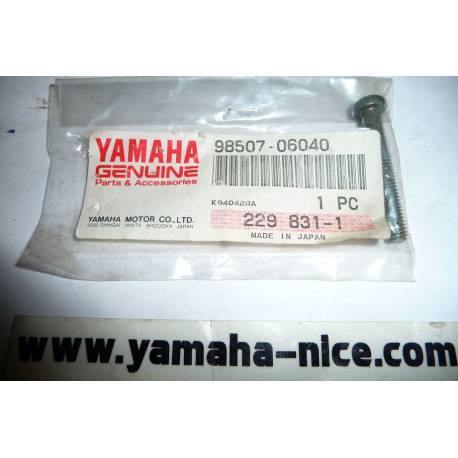 Vis de carter pour YAMAHA T105 1996-2004 DT50 1995 