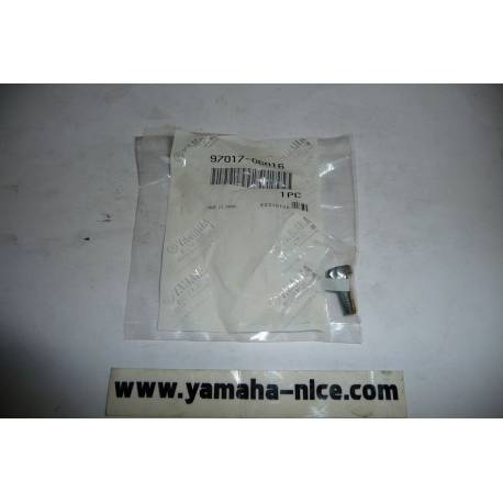 Vis origine YAMAHA pour QUAD réf : 97017-06016