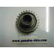 Pignon de sortie (25D) pour YAMAHA XP500 2001-2010