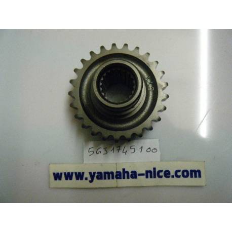 Pignon de sortie (25D) pour YAMAHA XP500 2001-2010
