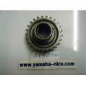 Pignon de sortie (25D) pour YAMAHA XP500 2001-2010