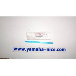 Emblème white max Yamaha XP500 2011