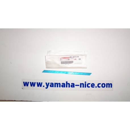 Embleme Yamaha XP500 2010