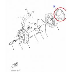 Joint d'embase YQ50 1997 2012 NS50 2000 2012