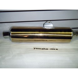 Silencieux d'echappement pour YAMAHA FZR 1000